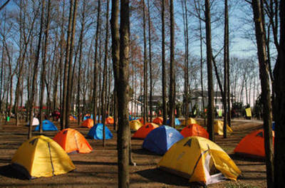 带孩子去野营吧，帮助他找到真正的自己