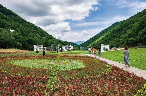 又到红叶烂漫时 13条精品线路与露营地服务全指南